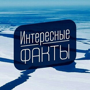 Интересные факты