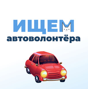 Автоволонтеры 
