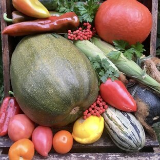 Советы огородникам 