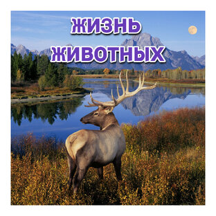 Жизнь животных | Ролики