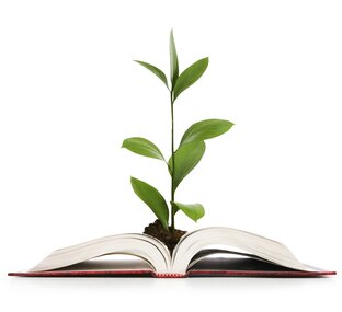 Книжная полка