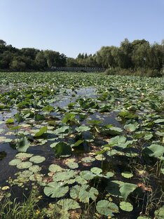 О себе и жизни в Китае 