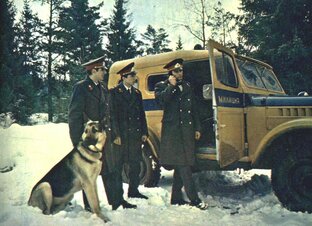 Криминальные рассказы