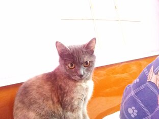 Идеи для твоей room💚