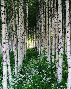 Проишествия 