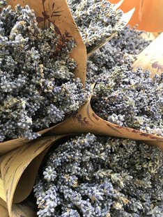 Как снимать, идеи для фото.