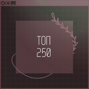 ‹ТОП-250›