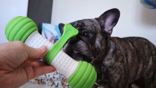 Развивающие ИГРУШКИ для собак