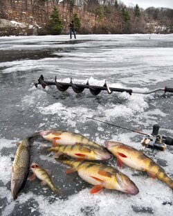 Про зимнюю рыбалку