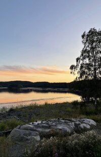 Удивительная природа🌲🌅🌊