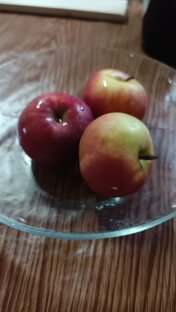 Заметки деревенского обывателя