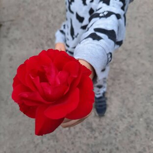 Занятия для малышей 🤗