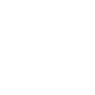 Новости 2023