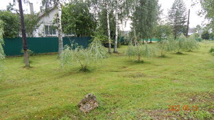 Жизнь в деревне.