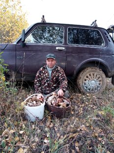 В лес по грибы