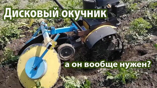 Дом хозяйство сад и город. 