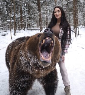 МЕДВЕДЬ 