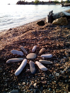 Познавательное