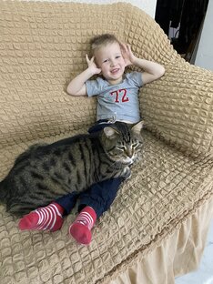 Мир животных