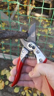 Работы на винограднике