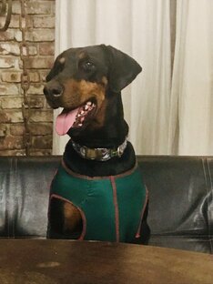 Российский колорит Златомира (Ася)