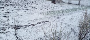 сад огород