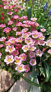 рассказы, не короткие