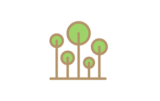 Пешие прогулки по Кисловодскому парку