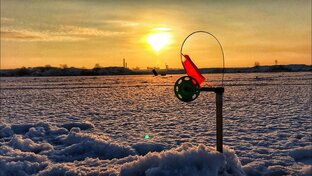 Рыбачу на жерлицы