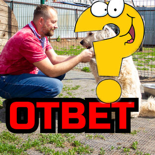 Ваш вопрос наш ответ