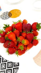 Мой сад и огород