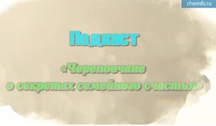 Череповчане о секретах семейного счастья