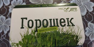 Микрозелень, опыт выращивания.