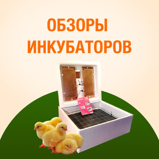 ЛУЧШИЕ ИНКУБАТОРЫ