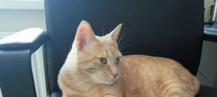 Скизи Мазонкину посвящается