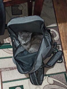 Распаковка 