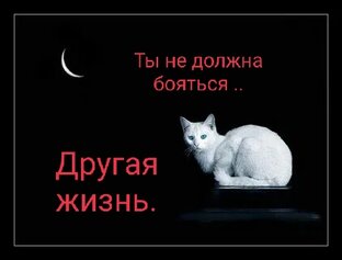 2.ТЫ НЕ ДОЛЖНА БОЯТЬСЯ...ДРУГАЯ ЖИЗНЬ.