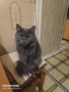 Животный мир.