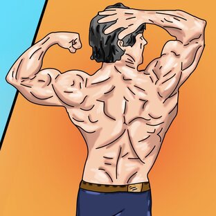 ВЕРХ ТЕЛА упражнения 