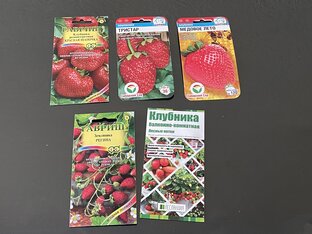 Огород
