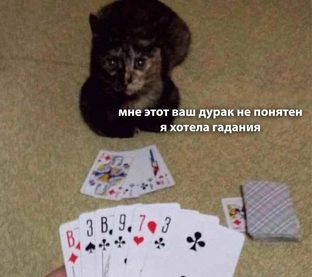 Тарологичка