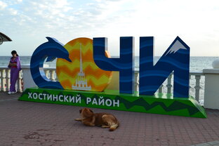 В Сочи на ПМЖ