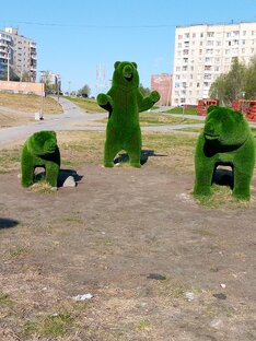 Гости города.