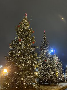 Зима и Новый год 🎄 