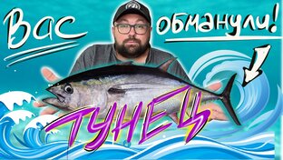 Вас обманули! 