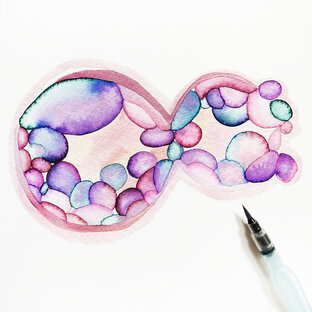 Эмбриология