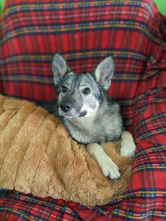 Реабилитационный центр "ТЕРЕМОК " 