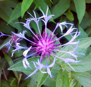 Мои истории