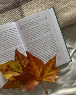 Психология