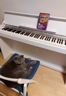 Музыкальная неделя